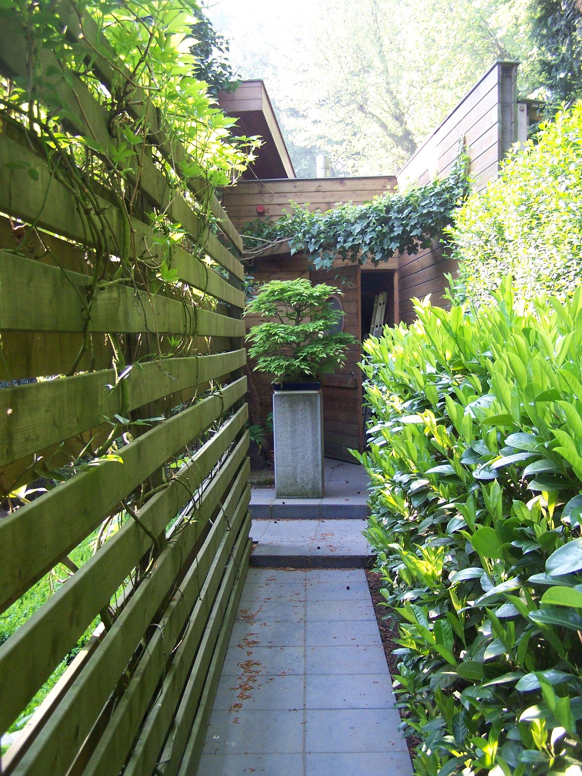 Tuinpad met hardsteentegels